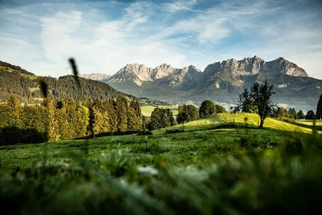 Tourismusverband Kitzbüheler Alpen St. Johann in Tirol image