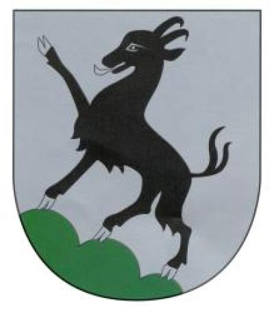 Stadtgemeinde Kitzbühel logo