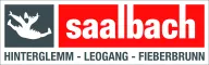 Bergbahnen Fieberbrunn GmbH logo