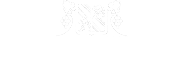 Morandell International GmbH logo