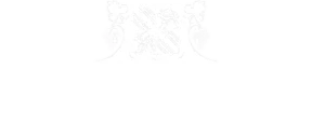 Morandell International GmbH logo