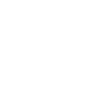 PM Peak Logistics GmbH logo