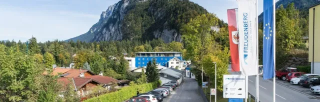 Freudenberg Sealing Technologies Austria GmbH & Co. KG image