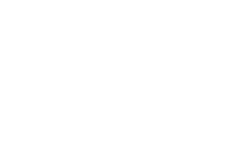 Freisinger Holzbau GmbH logo