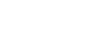 Freisinger Holzbau GmbH logo
