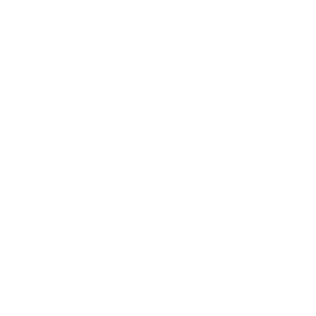 DAS SIEBEN ****Superior logo
