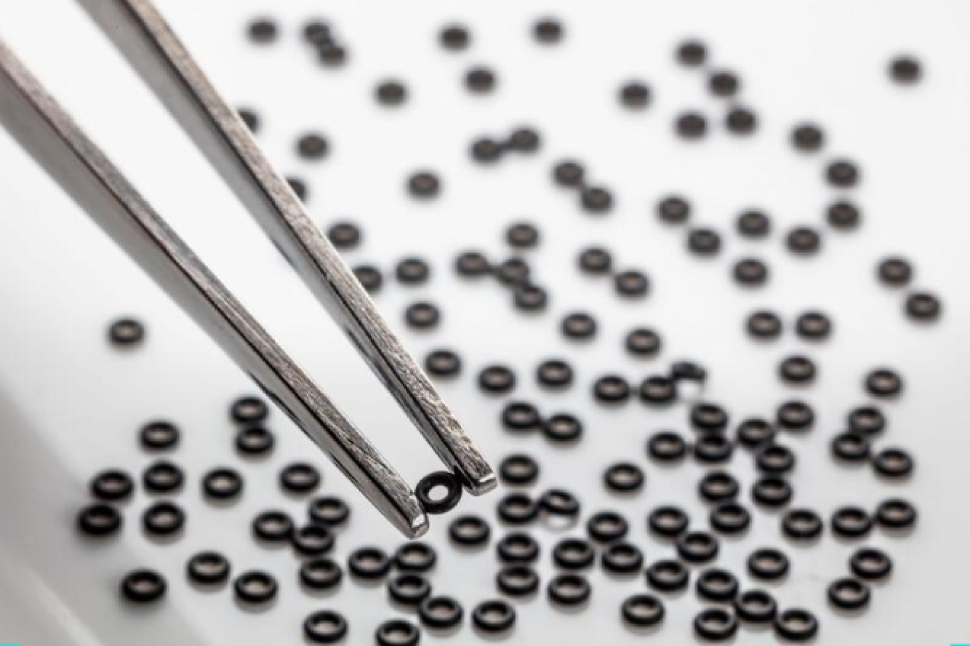 Freudenberg Sealing Technologies Austria GmbH & Co. KG Impressionsbilder des Arbeitgebers Nummer 6
