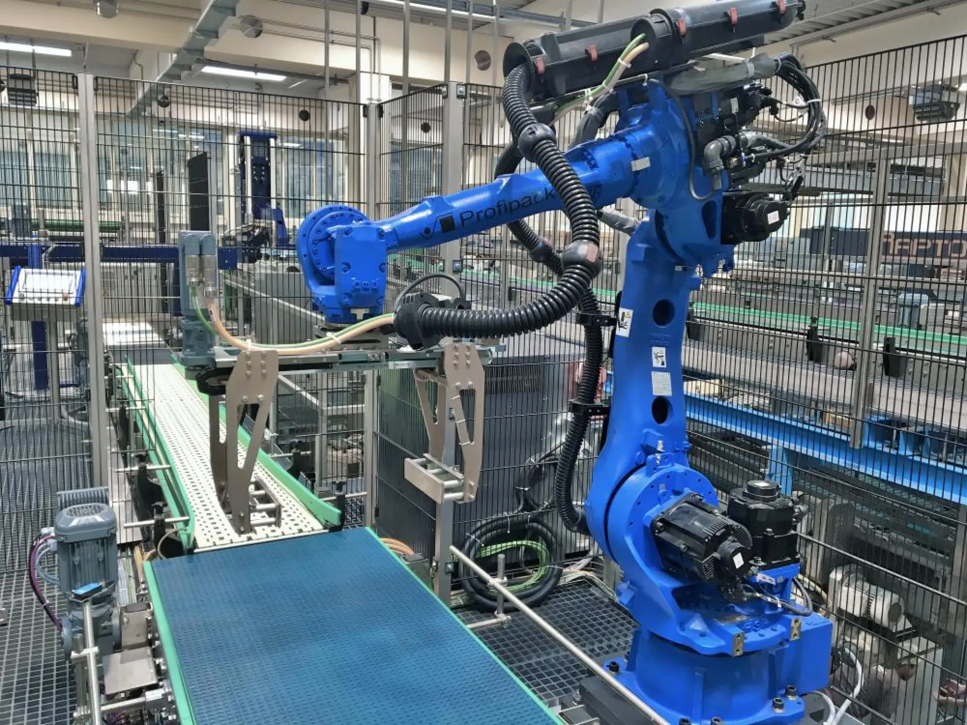 Profipack Verpackungsmaschinen GmbH Impressionsbilder des Arbeitgebers Nummer 2
