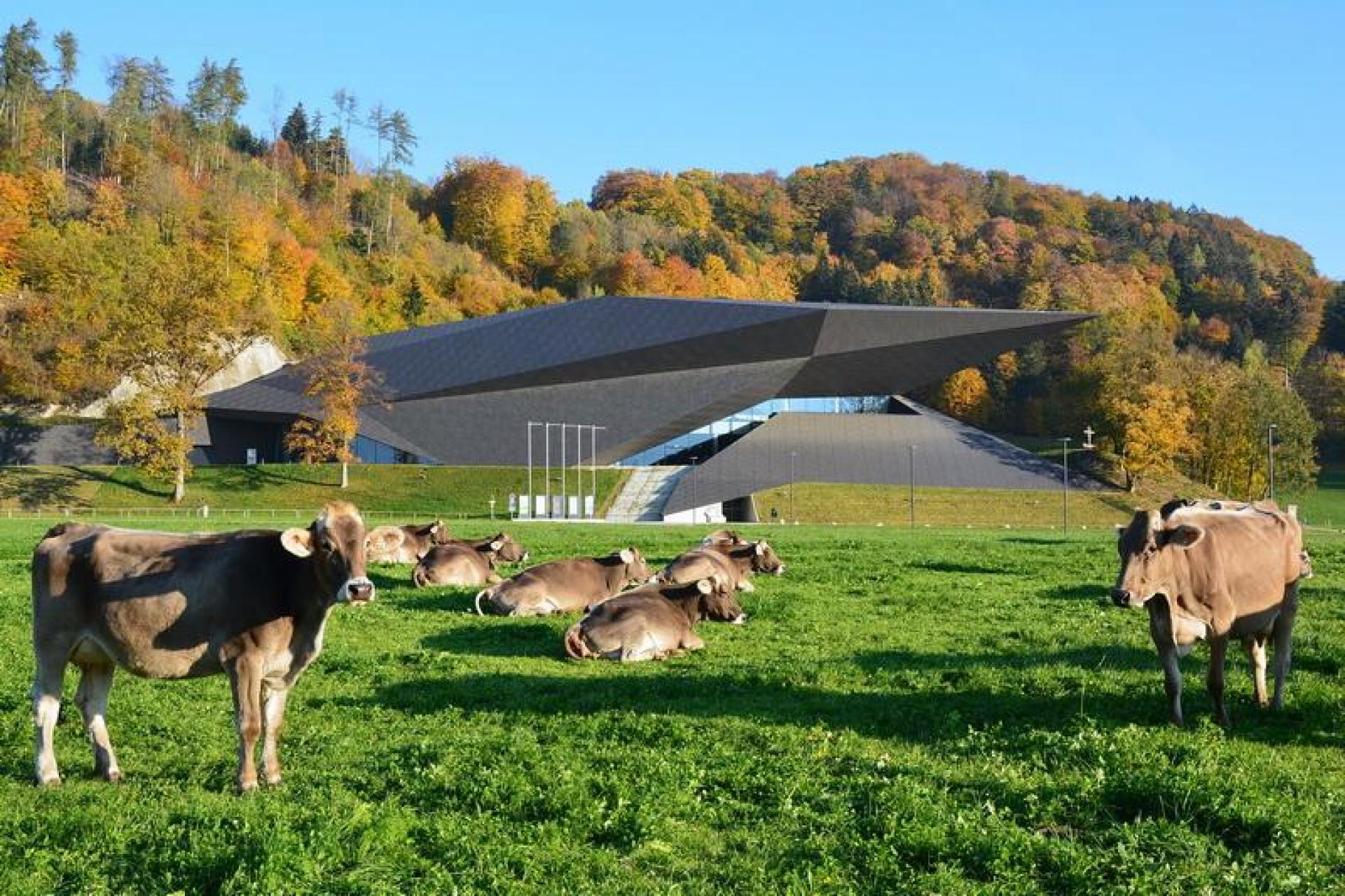 Tiroler Festspiele Erl Betriebsges.m.b.H. Impressionsbilder des Arbeitgebers Nummer 10