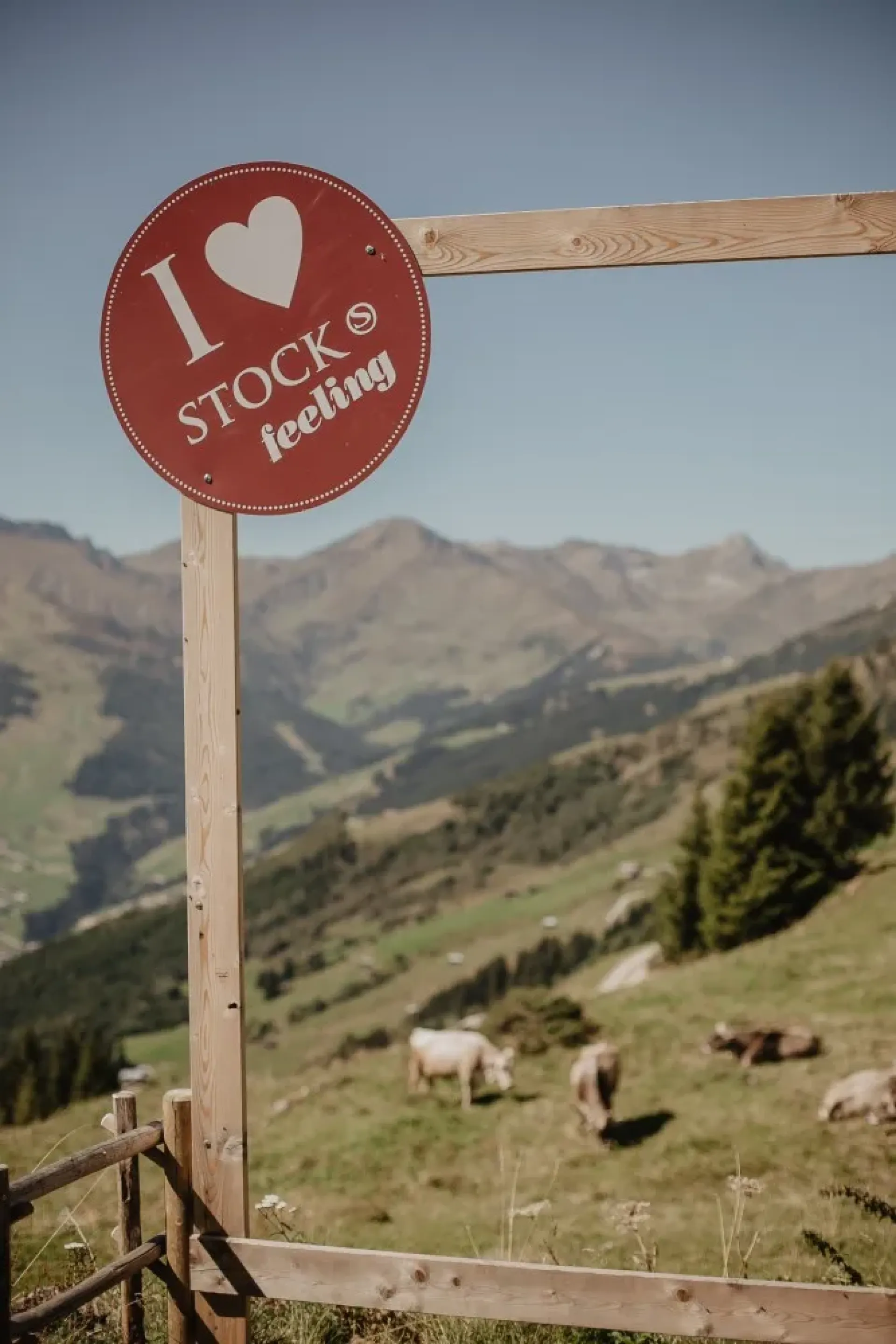 STOCK resort *****s Impressionsbilder des Arbeitgebers Nummer 11